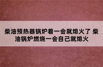 柴油预热器锅炉着一会就熄火了 柴油锅炉燃烧一会自己就熄火